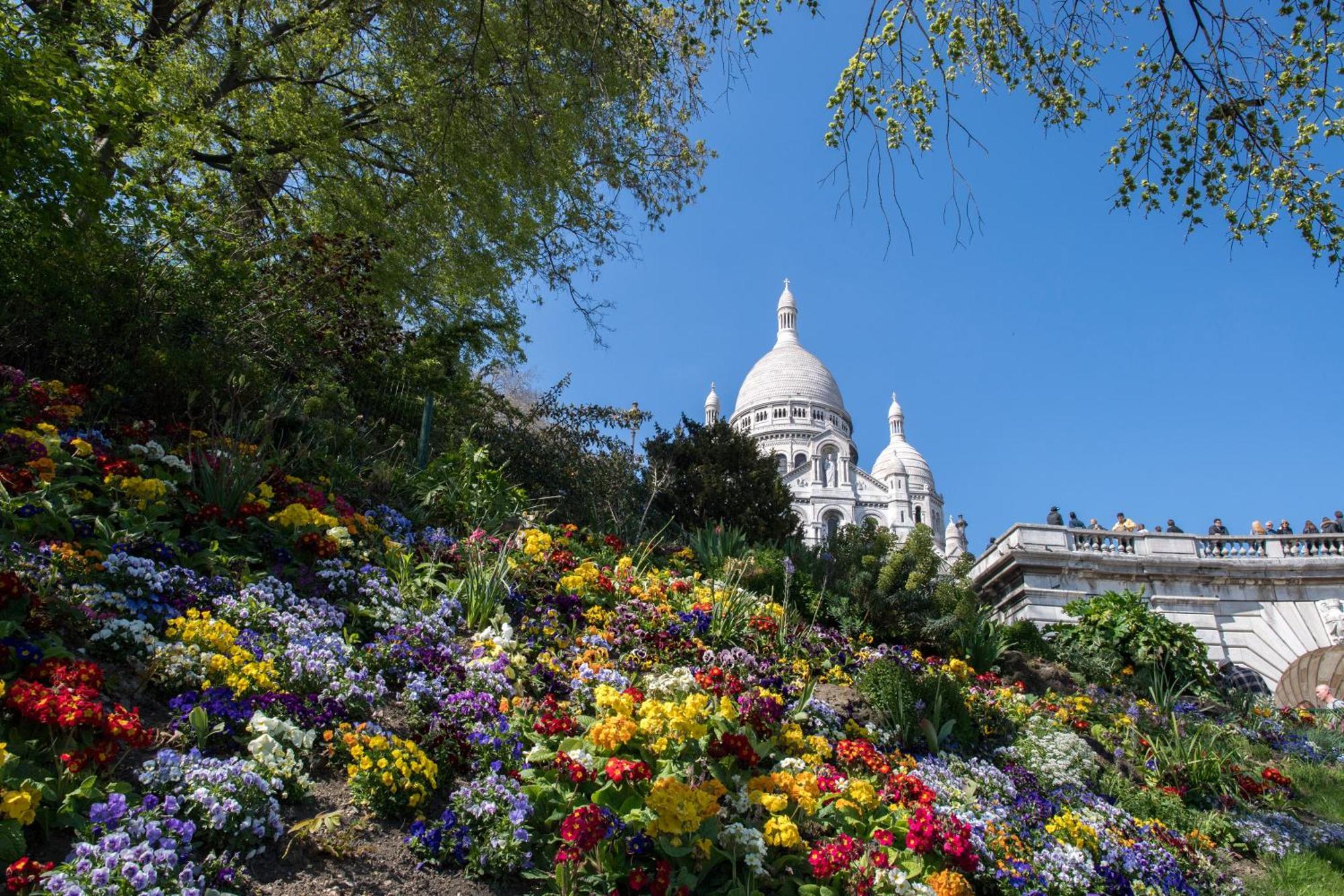 Paris 16 Studio Cosy Tour Eiffel Auteuil Apartment ภายนอก รูปภาพ